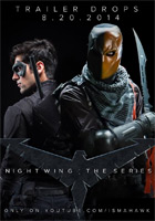 Affiche Nightwing : The Series