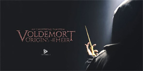 Image Voldemort : Origins of the Heir