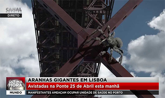 Aranhas gigantes em Lisboa!