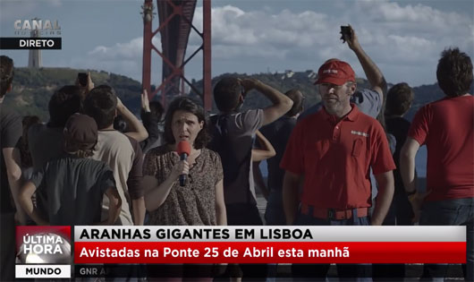 Aranhas gigantes em Lisboa!