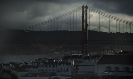 Aranhas gigantes em Lisboa!