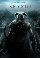 Affiche Skyrim : Into the Void