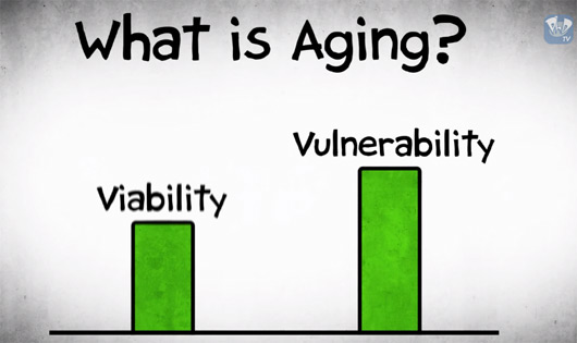 What is aging ? - Pourquoi vieillissons-nous ?