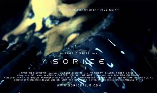 Sorice