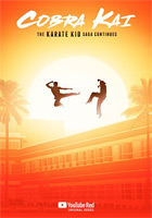 Affiche Cobra Kai