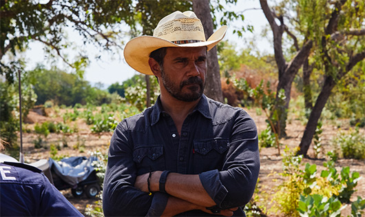 Mystery Road