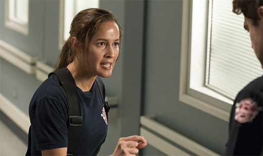 Grey's Anatomy : Station 19