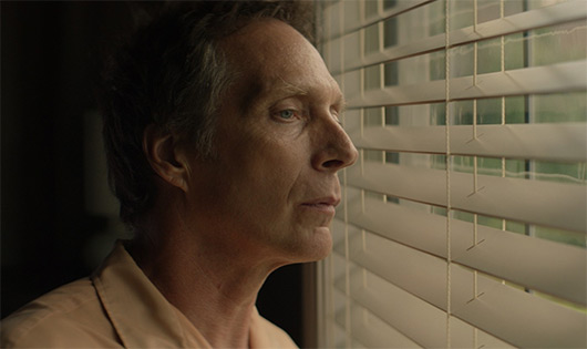 The Neighbor