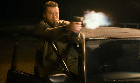  The Professional