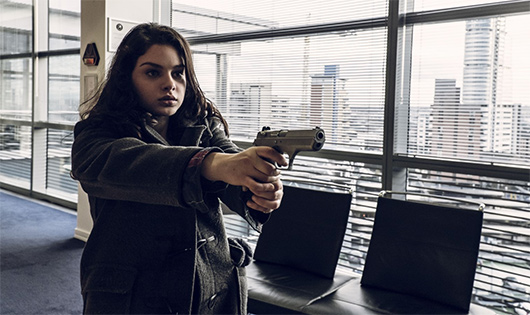  The Professional