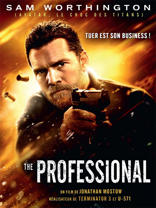  The Professional