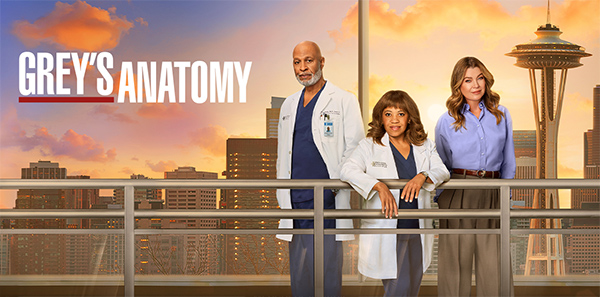 Image Grey&rsquo;s Anatomy