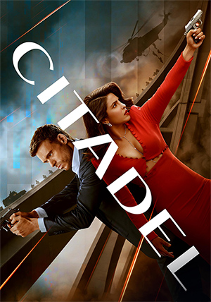 Affiche Citadel
